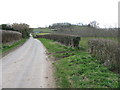 Lane To Bodenham Moor