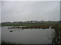 Wigtown from bird hide