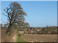 Footpath to Turvey (2)