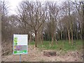 Landscaped woods beside Stonepit Field