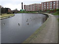 Rochdale Canal near Failsworth