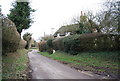 Lane through Empshott Green