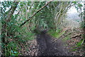 SU7430 : Muddy byway SE of Empshott Green by N Chadwick