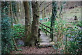 Footpath crosses a stream near Mill Lane