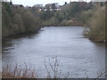 C8629 : River Bann flowing towards Coleraine. by David Laverty