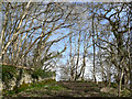 Footpath to Old Castle Down, Castle-upon-Alun.