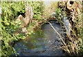 River Ems flowing towards footbridge behind Willow Gardens