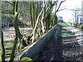 Path along fallen wall of old reservoir