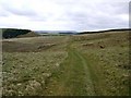 NT9709 : Farm track above Hazeltonrig by Andrew Curtis