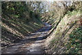 Small lane climbs the Greensand Escarpment