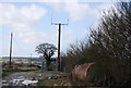 Small mast by a track near Hartley Mauditt