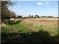 View towards houses on Bilney Lane