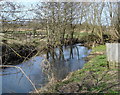 River Gipping, Paper Mill Lane