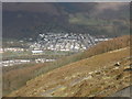 Looking down, on Mountain Ash, from Craig Darrenlas