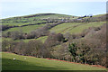 The bottom of Cwm Cyneiniog