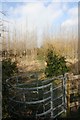 Kissing gate by the bridge