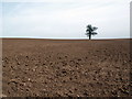 Ploughed Field, Walton On The Hill, Staffs