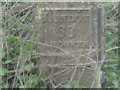 Milestone on the A343 Salisbury Road