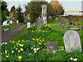 Wembdon Road cemetery