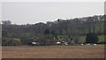 Buildings in Easebourne Street seen from footpath