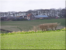TA1769 : Farmland Near The Grange by JThomas