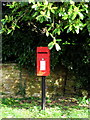 Postbox Middle Chinnock