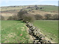 Footpath towards Ayton Farm