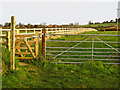 Footpath to Wembdon