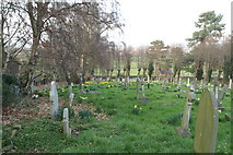 SJ3166 : Western side of St Deiniol's graveyard by David Long