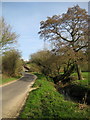 Scotts Way near West Chinnock