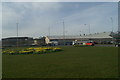 Daffs in bloom at the Airbus roundabout