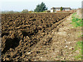 SU0380 : Field west of Trow Lane, Tockenham by Brian Robert Marshall