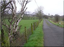 H5069 : Lisboy Road, Donaghanie by Kenneth  Allen