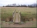 Footbridge in field