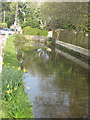 Brook beside The Street, Chilcompton