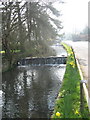 Waterfall in The Street Chilcompton