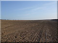 Fields near Wallis Grange