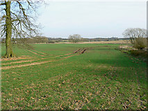SU0482 : Farmland south of Whitehill Lane, near Grittenham by Brian Robert Marshall
