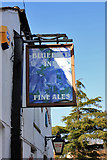 TA1637 : The Blue Bell - flower pub sign by Peter Church