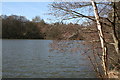 The Tarn, Puttenham Common