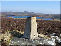 NY9695 : Trig point on Darden Pike by Pete Saunders