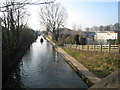 Grand Union Canal from Charles Street Bridge (G.U. Bridge 48)