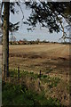 Stubble field at Tillers