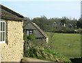 2009 : Harbingers of spring at West Kington Wick