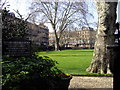 Nevern Square Garden