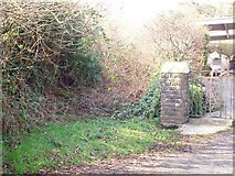 SN1710 : Overgrown Right of Way, Llanteg by welshbabe