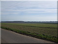 Fields near Waterton Hall Farm