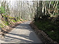 Country lane near Farrington Copse