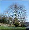 Spring day in Thornley Village, County Durham