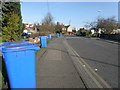 Blue bin day on Wyberton Low road